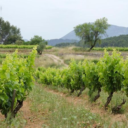 La Maison De Campagne Carcès エクステリア 写真