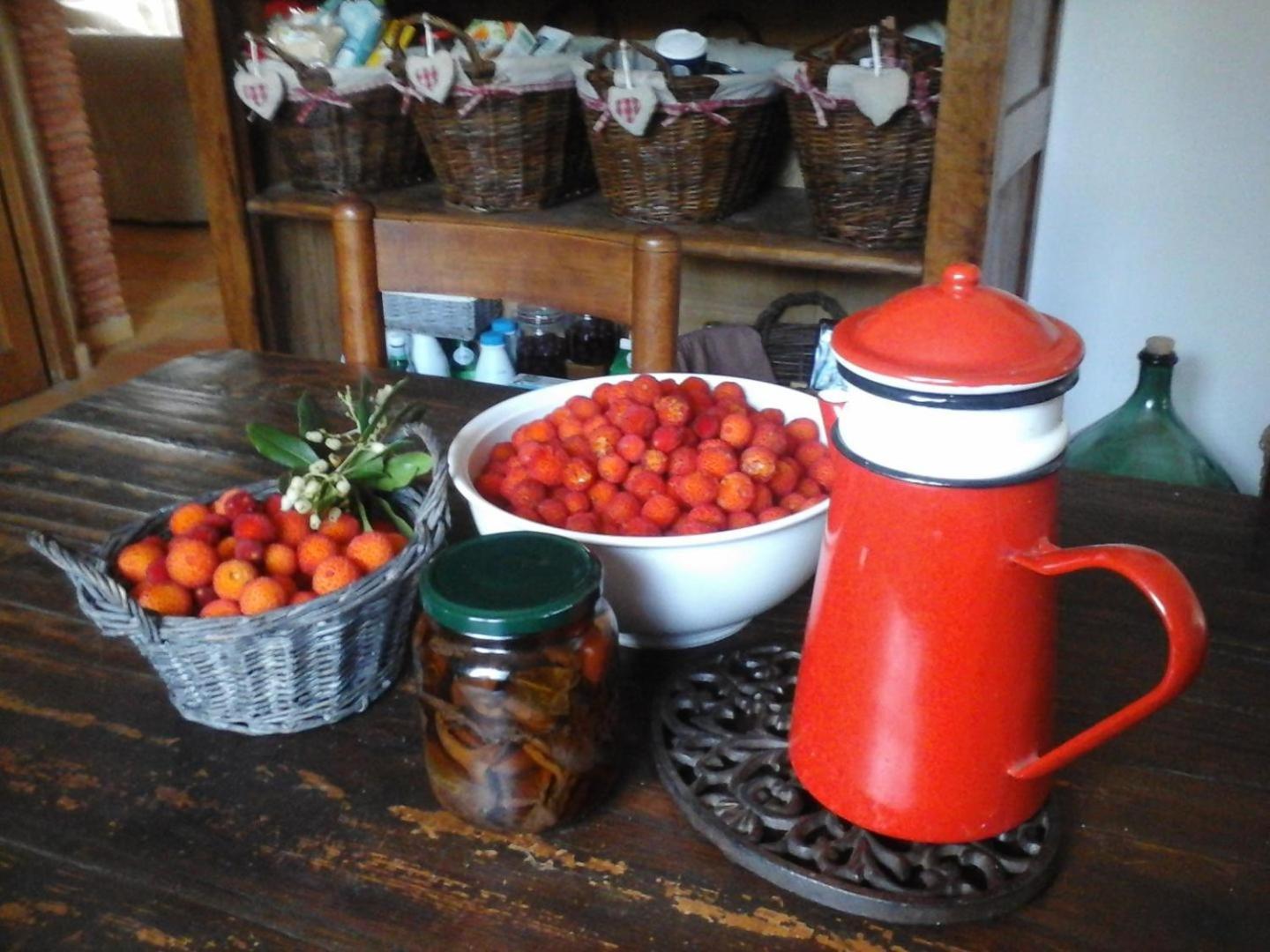 La Maison De Campagne Carcès エクステリア 写真