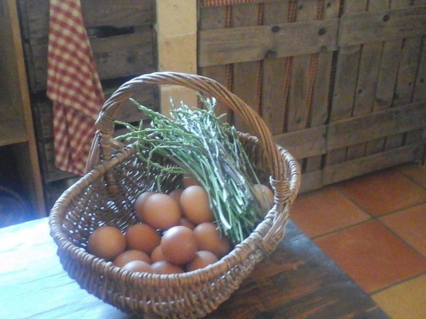 La Maison De Campagne Carcès エクステリア 写真